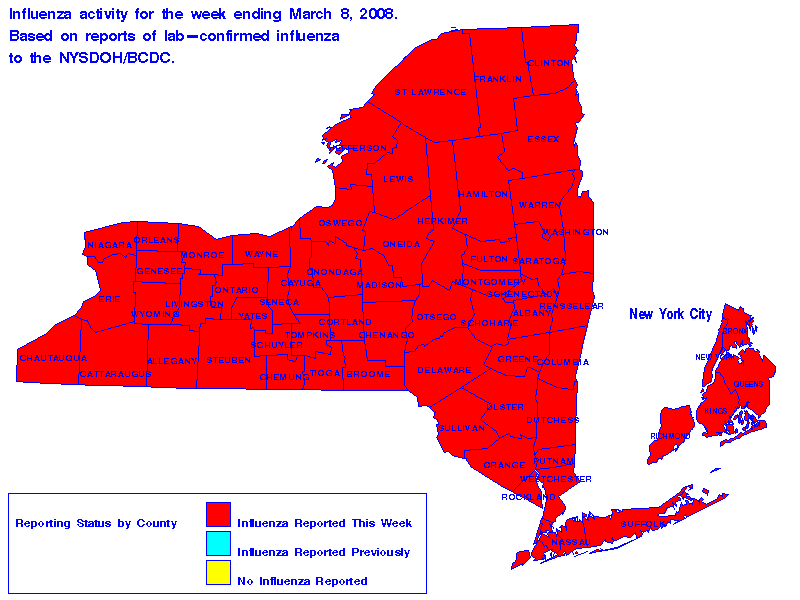 Map of flu activity in New York State for the week ending 03-08-2008
