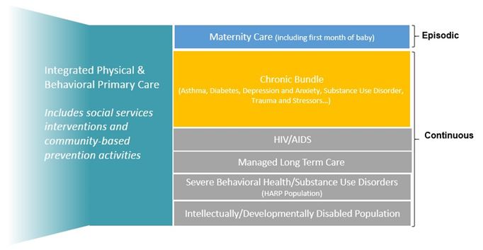 Integrated Physical and Behavioral Primary Care