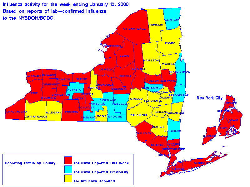 Map of flu activity in New York State for the week ending 01-12-2008