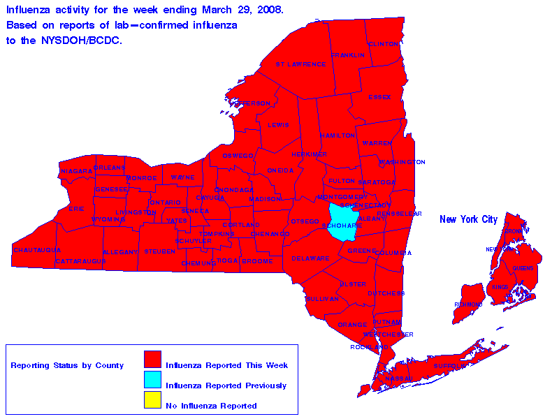 Map of flu activity in New York State for the week ending 03-29-2008