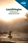 Catskill brochure thumbnail