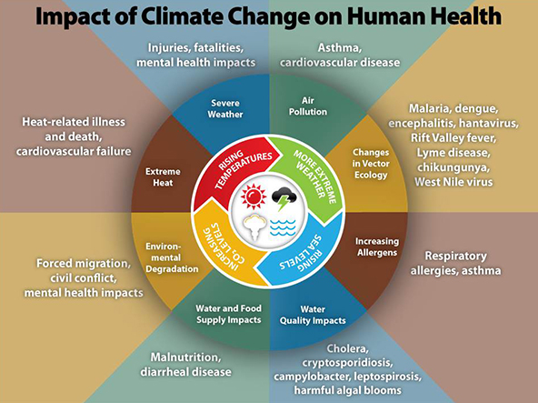 Diagram showing the impact of climate change on human health.