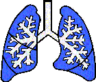 picture of lung