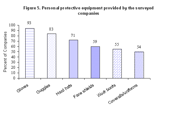 Figure 5 - Personal protective equipment provided by the surveyed companies