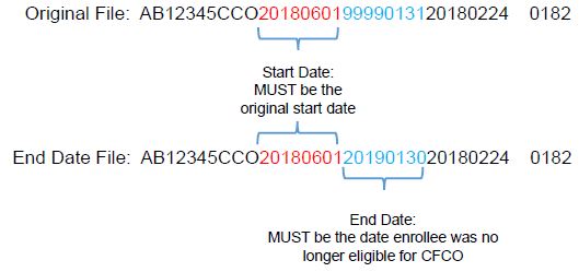 File Layout Example: End Date a CF or CO