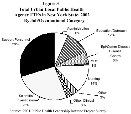 total urban LHD public health agency FTEs in New York State, 2002 by job category