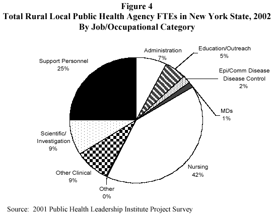 total rural LHD public health agency FTEs in New York State, 2002 by job category
